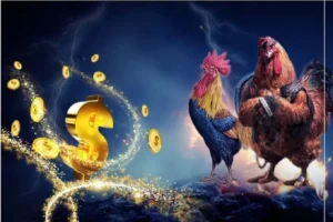 Bí Quyết Thắng Đá Gà WS168 Tại S666 Dành Cho Người Mới