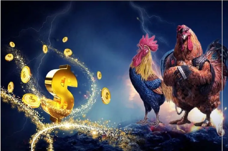 Bí Quyết Thắng Đá Gà WS168 Tại S666 Dành Cho Người Mới