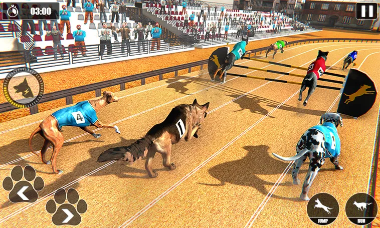 Hướng Dẫn Thắng Lớn Game Nhanh Đua Chó Tại S666 Dễ Dàng Hấp Dẫn